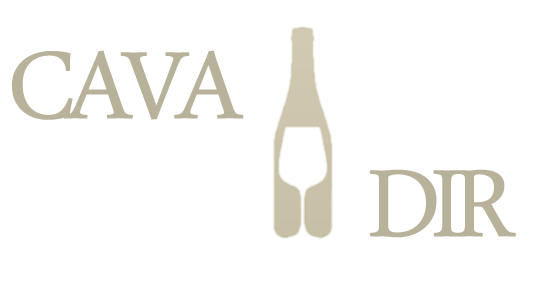 Cavadir Logo